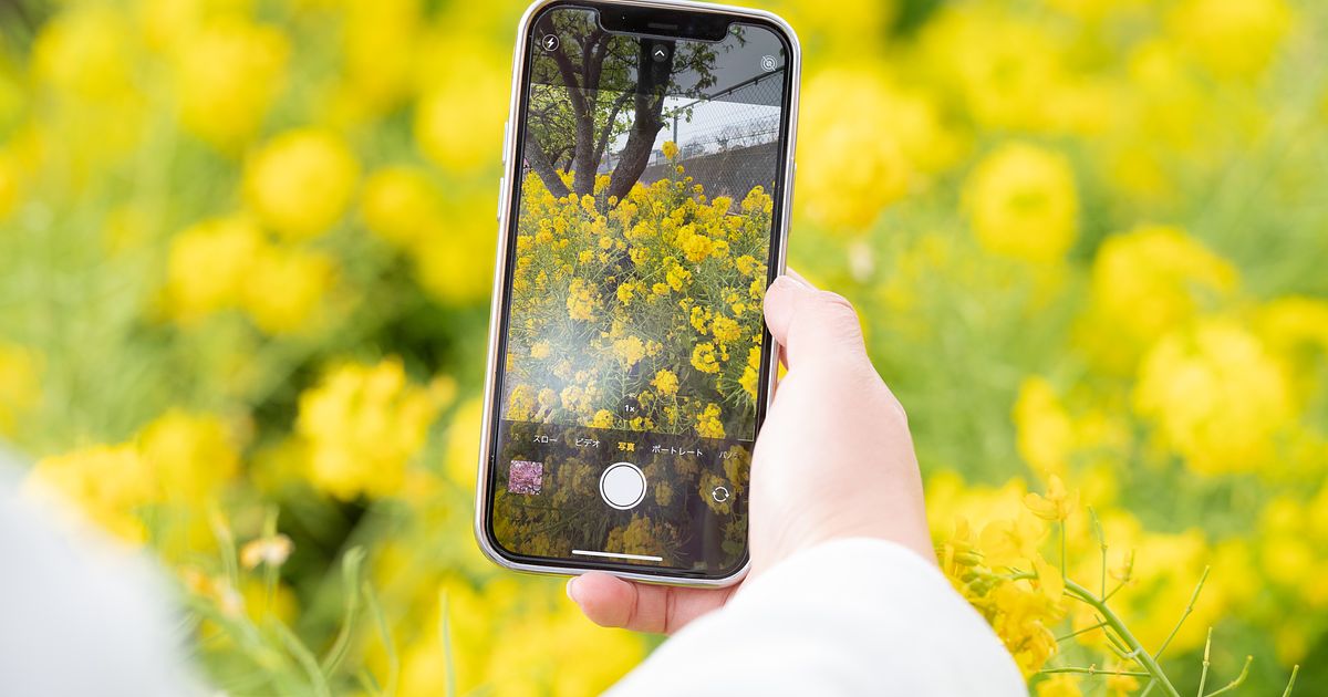カメラロールとは？どこにある？スマホ（iPhone・Android™）・パソコンにわけて解説
